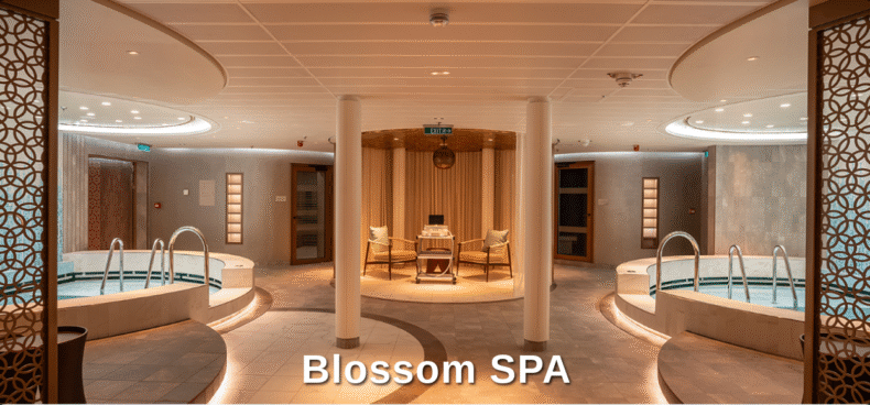 aroya-cruise-gemisi-spa