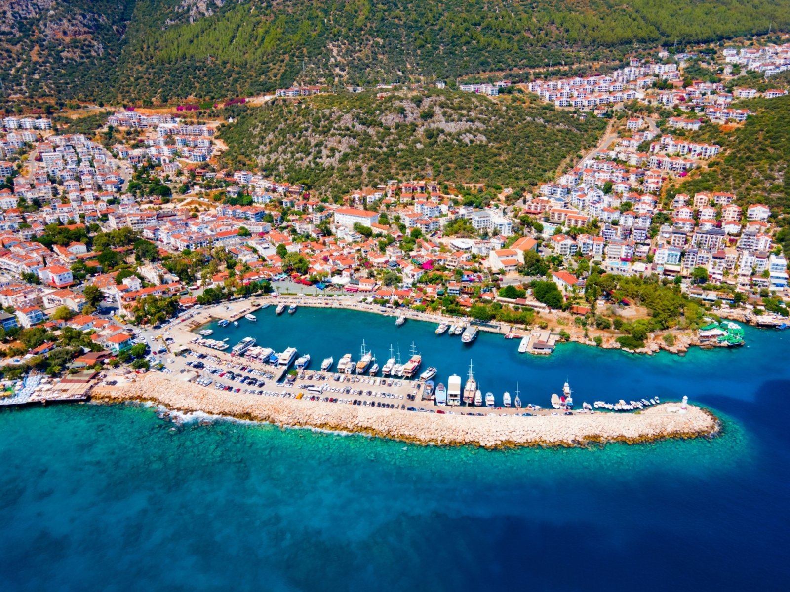 shutterstock_2504478561_2025-04-12-234122_qkad