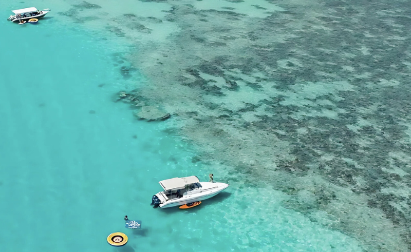 bayadah adasi ziyareti aroya gemi