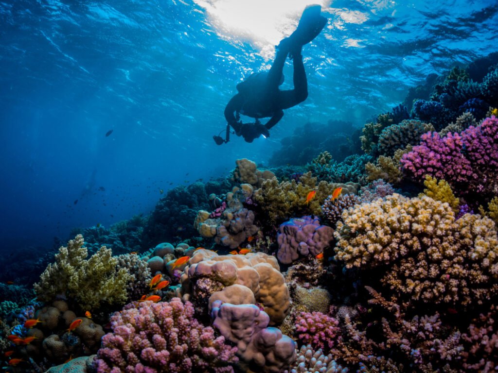 Iona Reef Snorkel